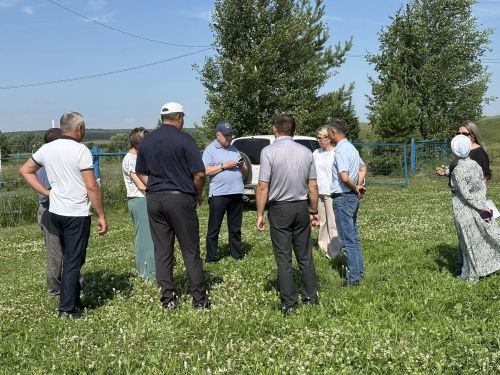 Районда Питрауга әзерләнәләр