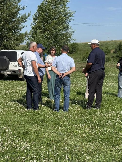 Районда Питрауга әзерләнәләр