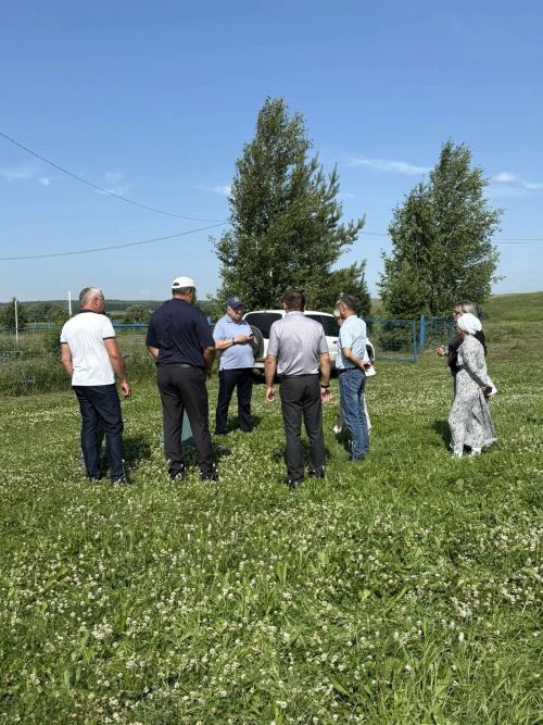 Районда Питрауга әзерләнәләр