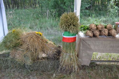 Районга Татарстан Рәисе Рөстәм Миңнеханов килде