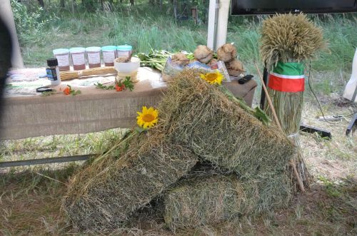 Районга Татарстан Рәисе Рөстәм Миңнеханов килде