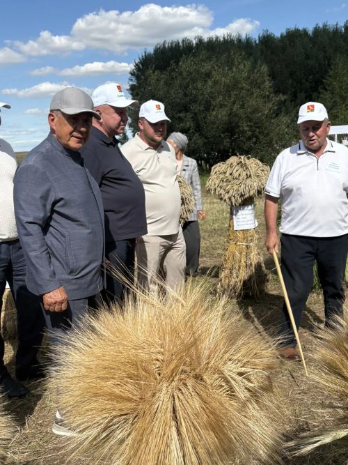 «Сарман районында бер генә дәүләт программасының да үтәлми калганы юк», – диде Татарстан Рәисе Рөстәм Миңнеханов