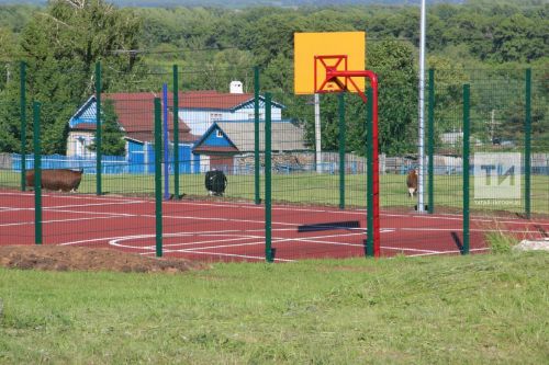 Татарстанда быел 21 авыл клубы, 105 универсаль спорт мәйданчыгы төзеләчәк