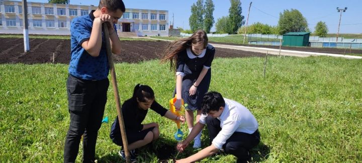 Петровскозаводские выпускники облагородили школьный сад