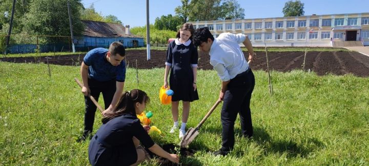 Петровскозаводские выпускники облагородили школьный сад
