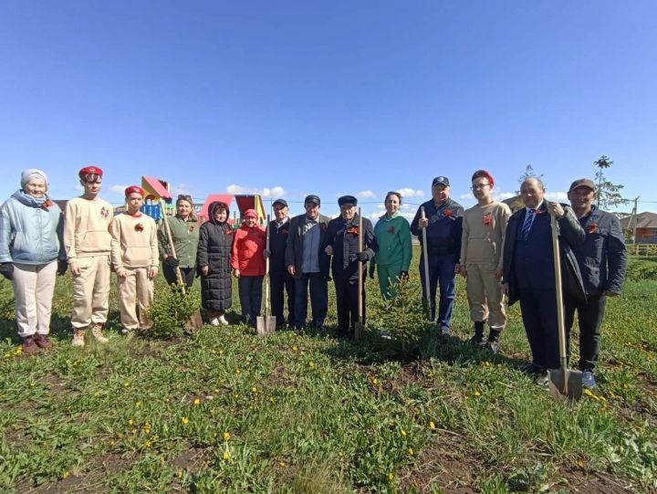 В парке 100-летия ТАССР по традиции посадили ели