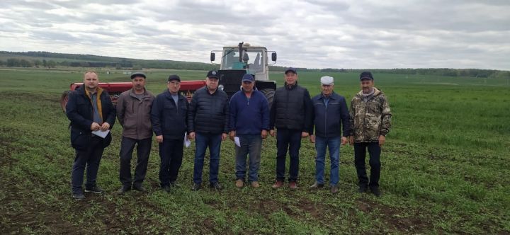 В районе состоялось заключительное награждение передовиков посевной кампании