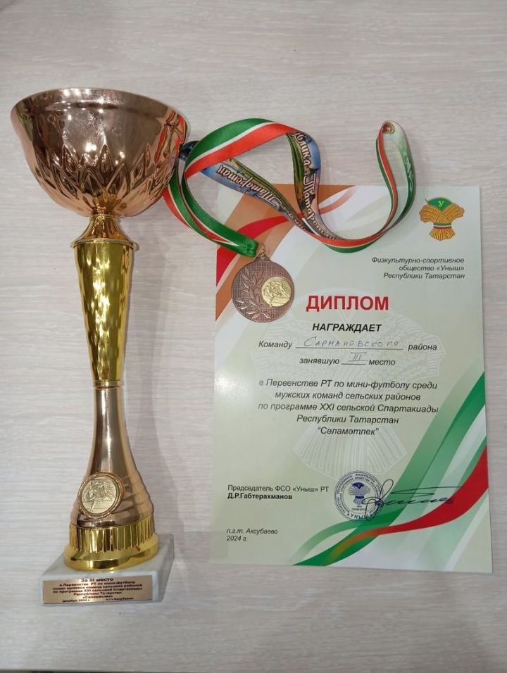 Команда Сармановского района завоевала бронзовые медали