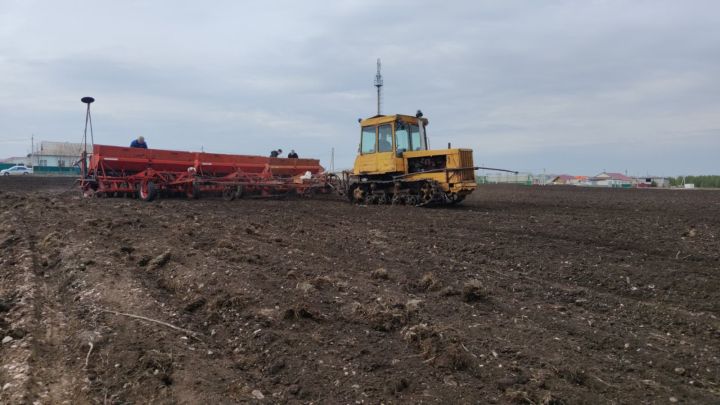 Сармановский аграрный колледж приступил к посеву
