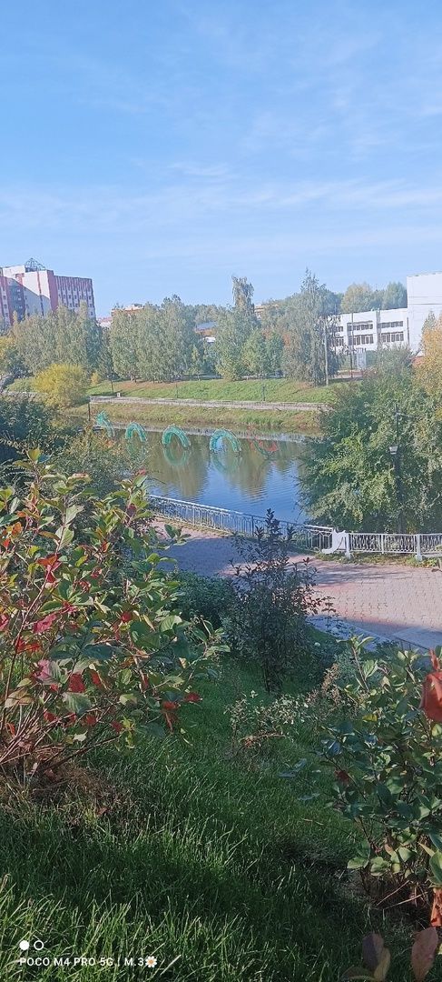 Көз сарманлыларга ничек тәэсир итә?