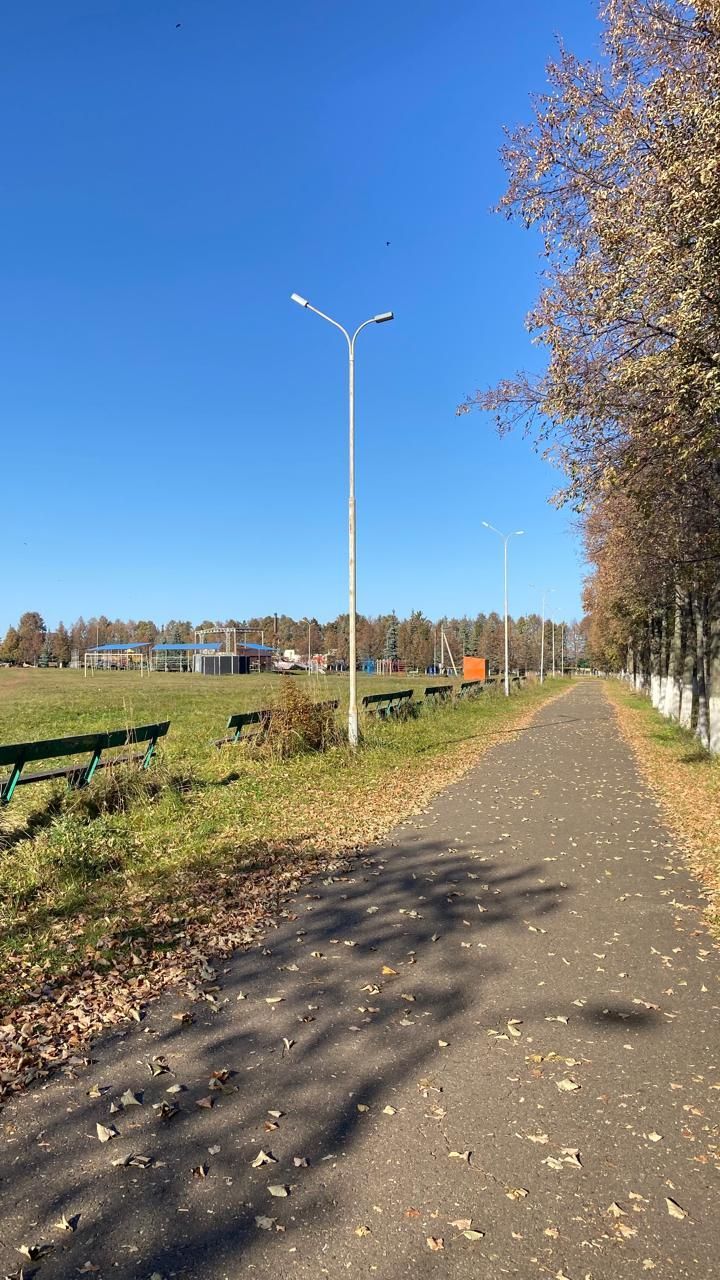 Погода в Сармановском районе на субботу: Без осадков, но с утренним туманом