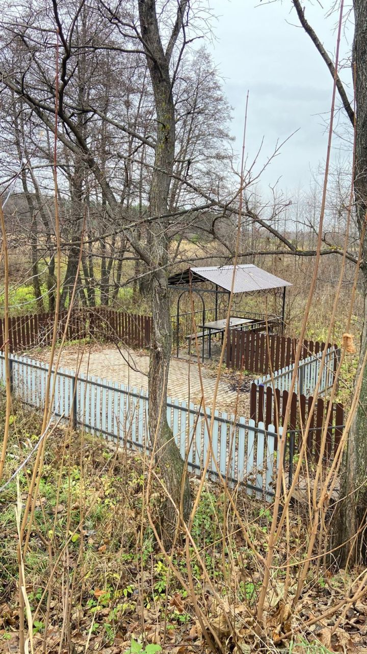 Прогноз погоды на 1 ноября в Сармановском районе: дождь, туман и похолодание