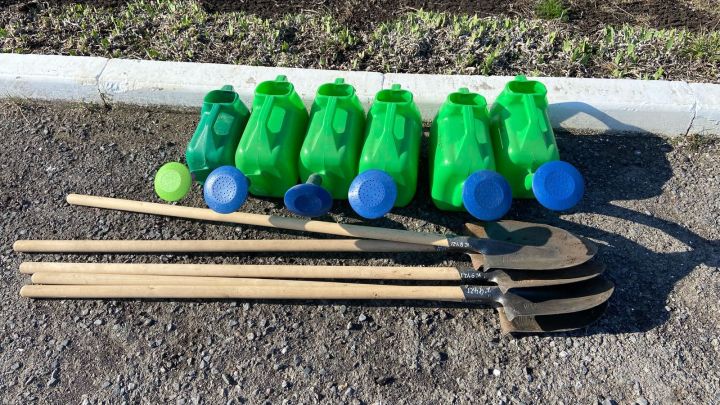 Майские работы в саду и огороде: советы агронома из Татарстана для богатого урожая