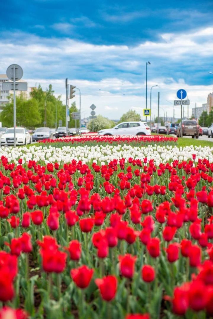 Прогноз погоды на 14 мая 2025 года