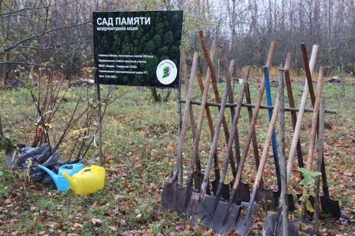 В Лешев-Тамакской школе появится «Сад Памяти»