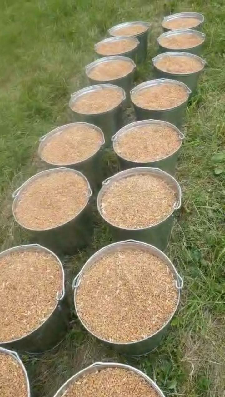Карашайда бюджет батырлары данланды