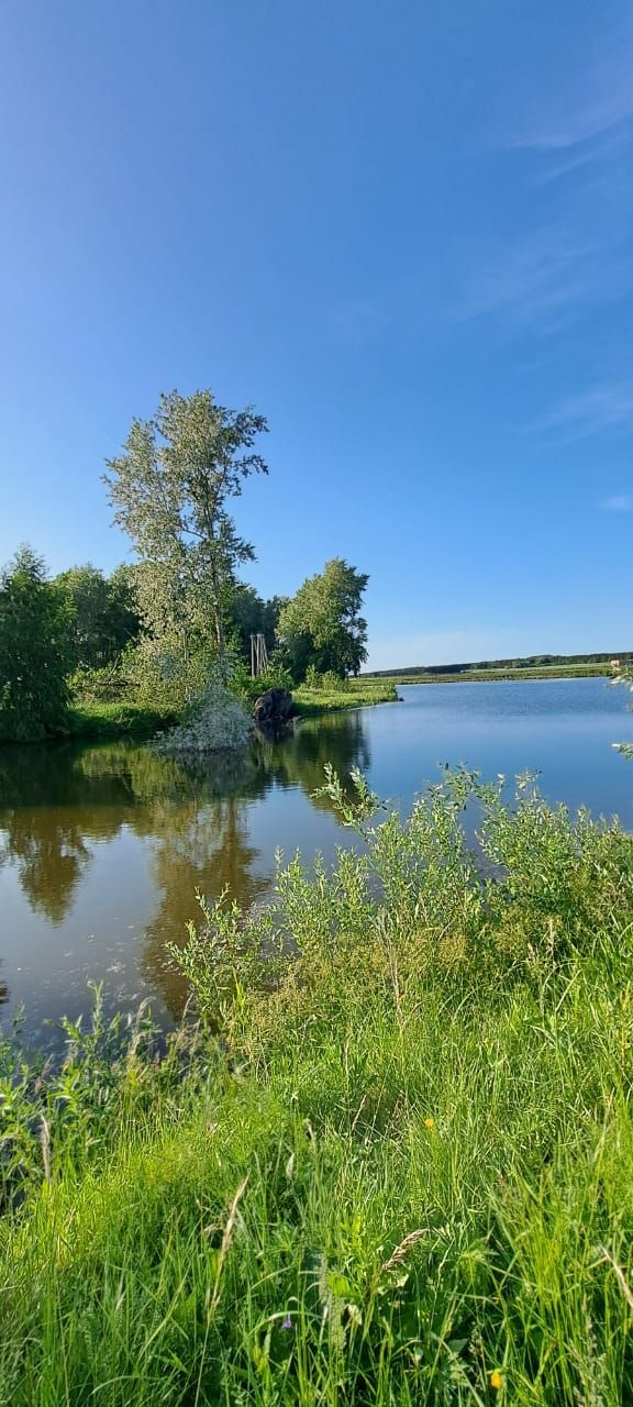 Прогноз погоды на 18 августа 2025 года