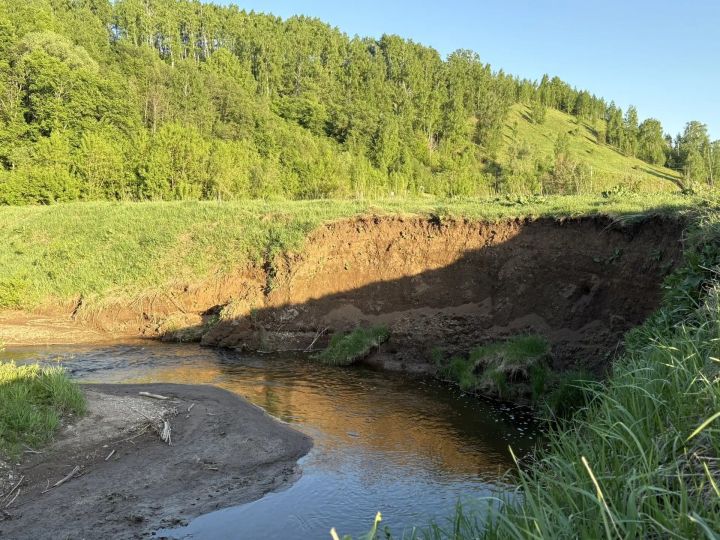 Жители района должны бережно относиться к природе